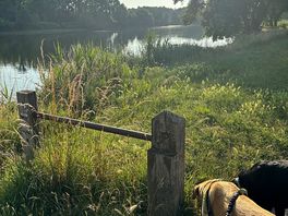Dog walk by the river.
