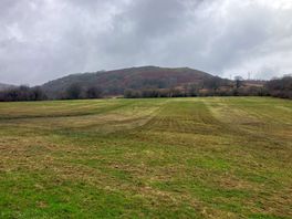 The hills are alive!