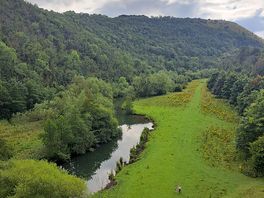 Monsal head