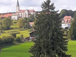 View from site
