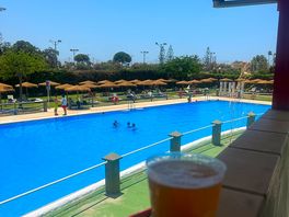 Vista desde el bar a la piscina