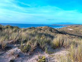 Sand dune views