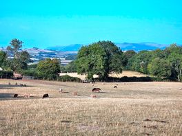 View from the lower pitches