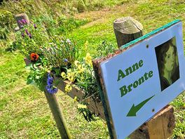 All the pitches named after the bronte' great idea such a local touch