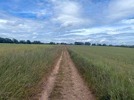 One of the well marked footpaths from the campsite