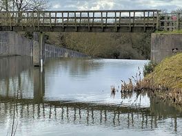 Lower tamar lake