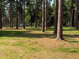 Spot the campervan!