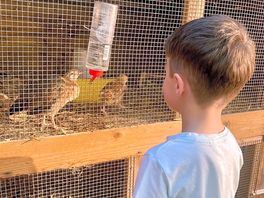 Rabbits and birds were a nice addition