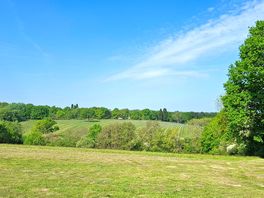 Daytime view over vineyard