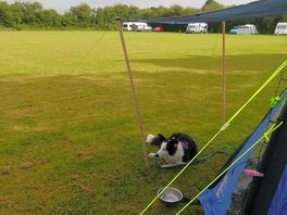 Large flat field, plenty of room.