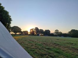 View from tent.