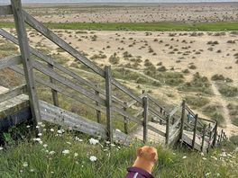 Steep steps to the beach