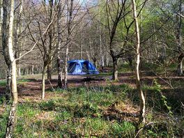 Tent pitch