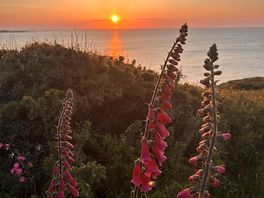 Sunrise