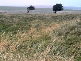 Rolling hills