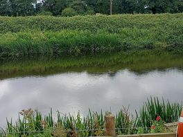 Clean river view