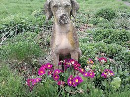 Dog statue in the walled garden.