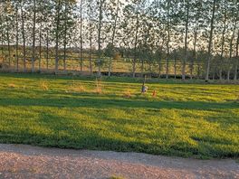 Beautiful scenery. very peaceful. was listening to the geese early and foxes run across the field