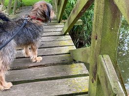 Lovely walks