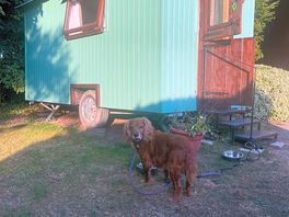 Shepherds hut that we stayed in.