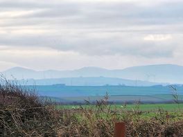 View from the pod