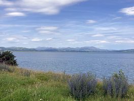 View of the estuary