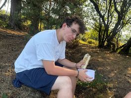Picnic nearby