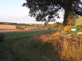 On a walk
