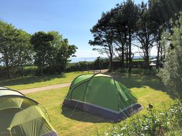Grass pitches