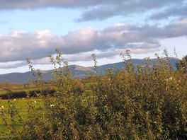 Wonderful views