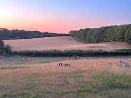 Lovely views