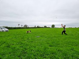 Spacious field