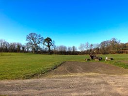 Picture of site