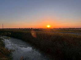 Sunset across the fens