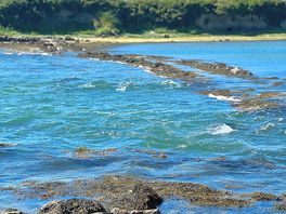 View of the sea- tide coming in.