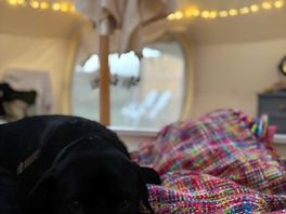 So cosy