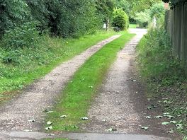 The drive way