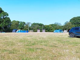 The main field