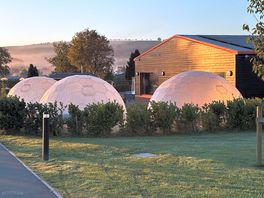 Morning frost on the pods