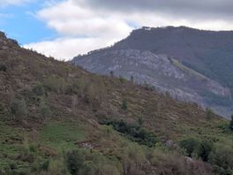 View from site