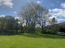 Field