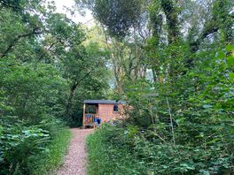 Pathway to cabin