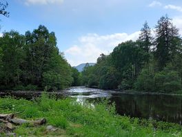 View of the river
