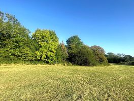Pitches backed by trees