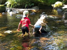 Aira waterfall