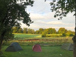 View from tent