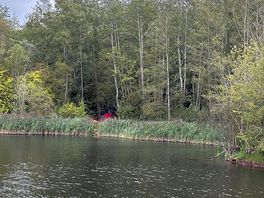 Pond