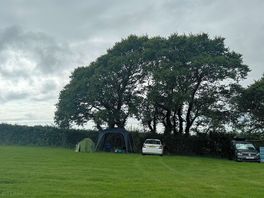 Camp