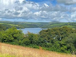 Llys-y-fran lake