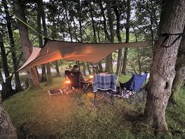 Canopy in the trees